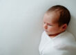 A Sweet & Natural Sarasota Newborn Session